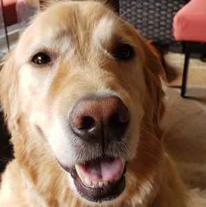 Meet your Posher, William